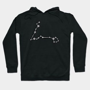 Pisces Zodiac Constellation in Silver - Black Hoodie